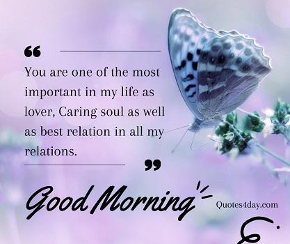 Attractive Good Morning Quotes Top collection