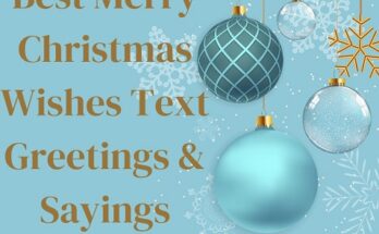Best Merry Christmas Greetings & Sayings