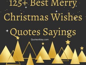 Best Merry Christmas Wishes Quotes Sayings Messages and greetings
