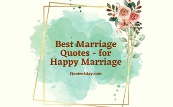 Marriage-Quotes-That-Make-increase happyness