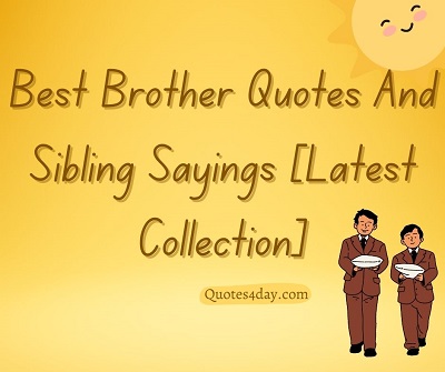 Meaningful brother Quotes