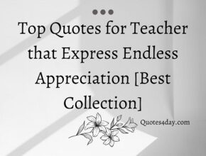 Top saying for Teachers