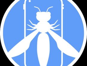 OWASP mobile security