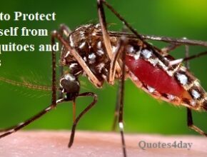 Protect Yourself from Mosquitoes and Ticks